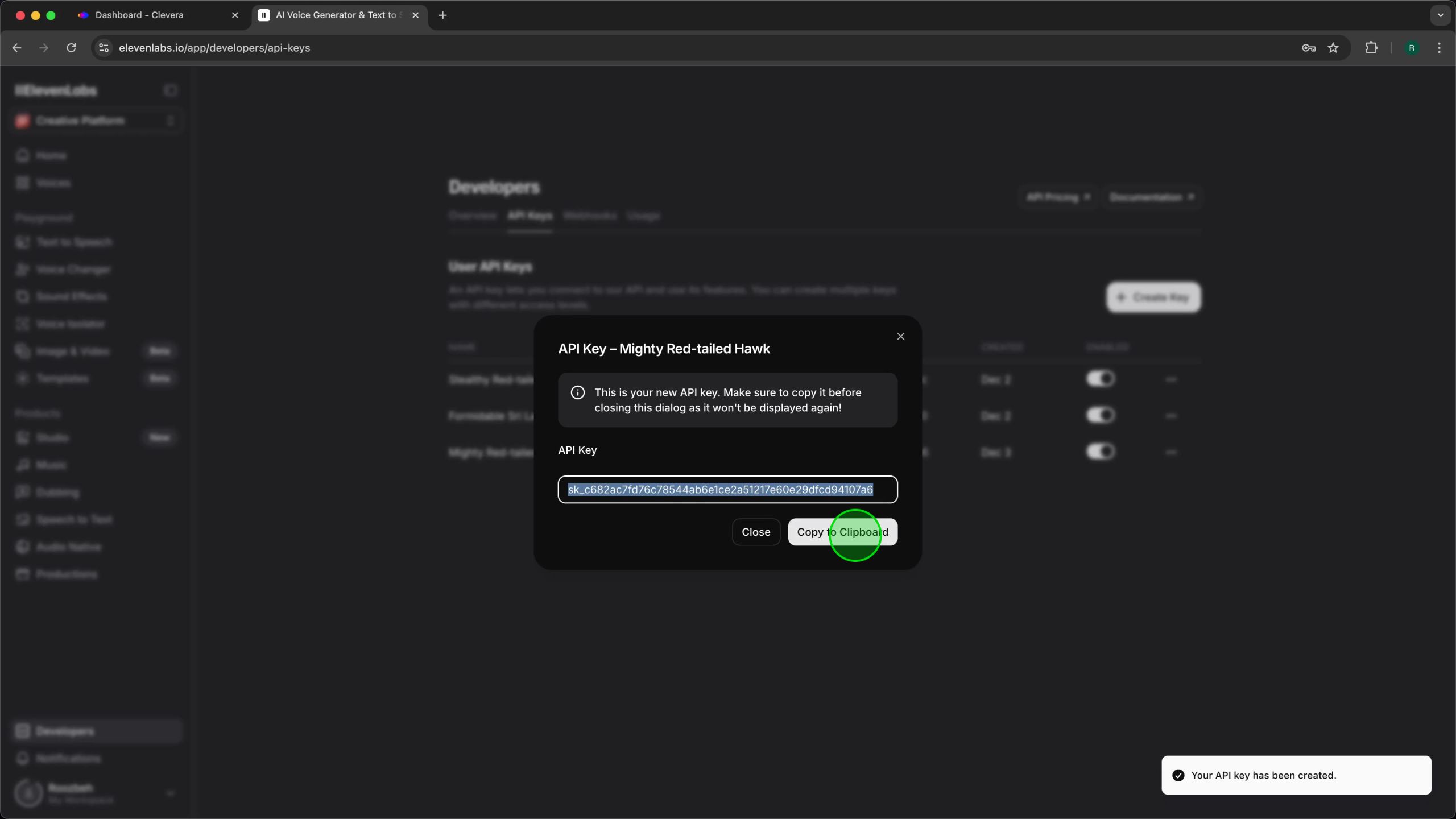 API Key display modal with the 'Copy to Clipboard' button highlighted